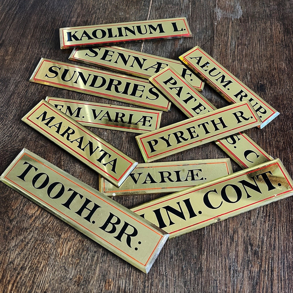 A good sized collection of 14 antique botanical apothecary mirrored drawer plates. Golden toned beveled mirrors catch the light beautifully, finished with black serif type and thin red border lines - SHOP NOW - www.intovintage.co.uk